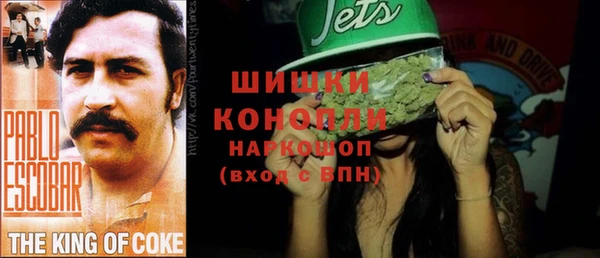 PSILOCYBIN Бородино