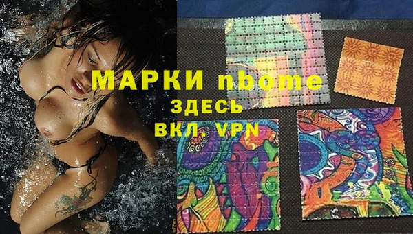PSILOCYBIN Бородино