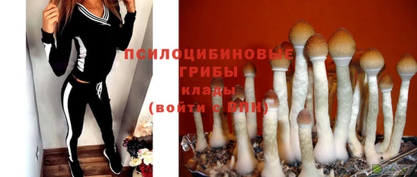 PSILOCYBIN Бородино
