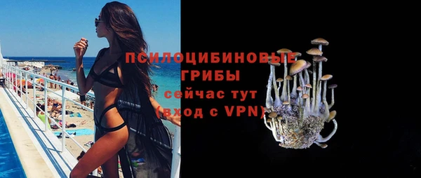 герыч Бронницы