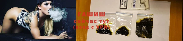 PSILOCYBIN Бородино