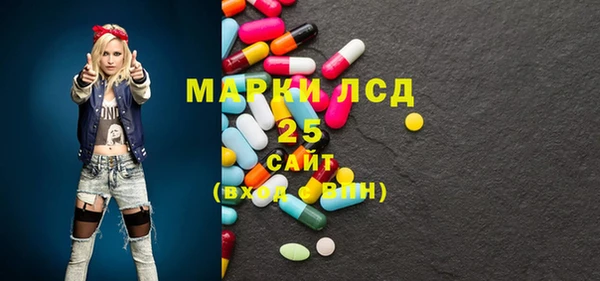 PSILOCYBIN Бородино