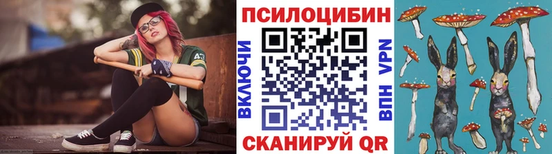 МЕГА ТОР Навашино Галлюциногенные грибы Magic Shrooms